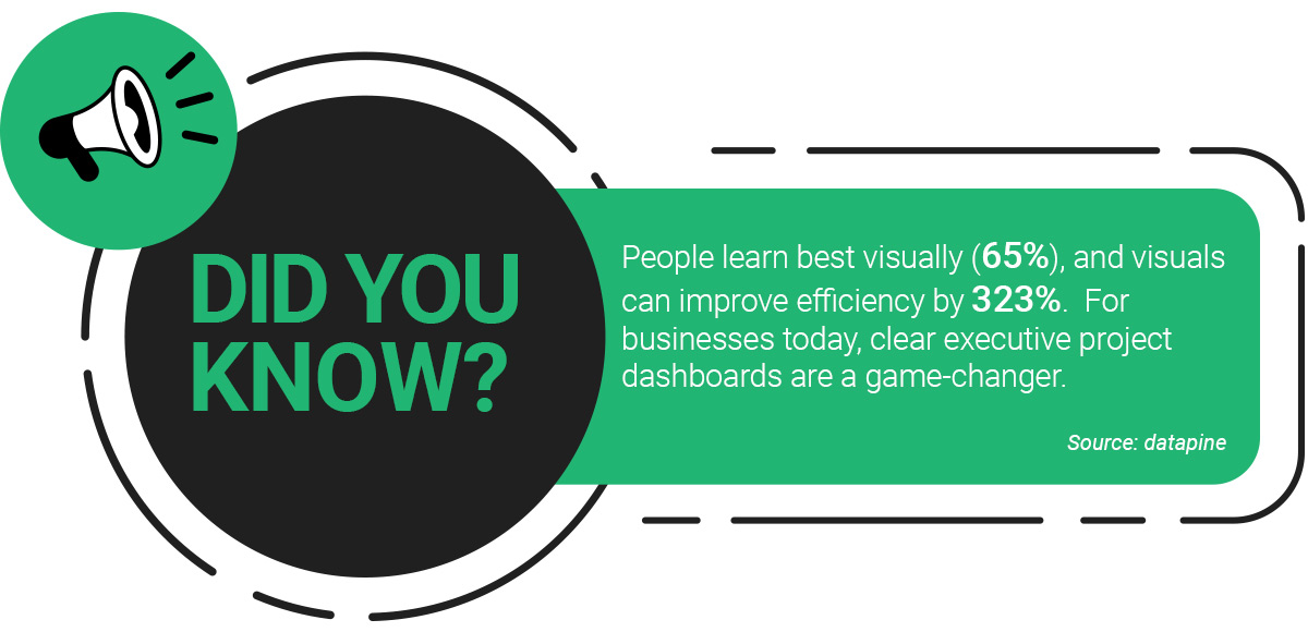 executive project dashboard