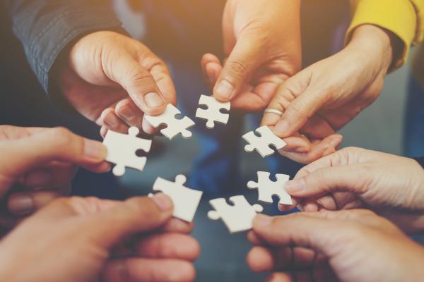 Team Collaboration